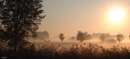 Automne