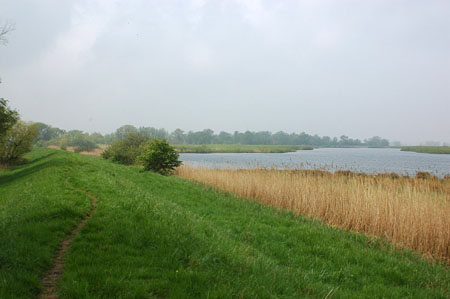 biesboch