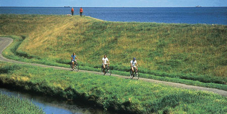 cyclecoastnew