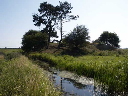 ho20060713