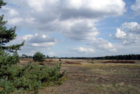 hogeveluwe
