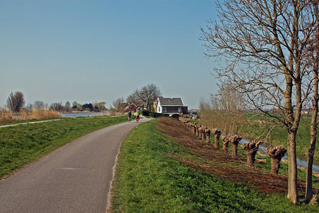 vliet