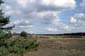 hogeveluwe
