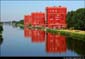 rodedonders