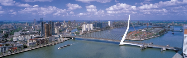 le pont Erasmus à Rotterdam